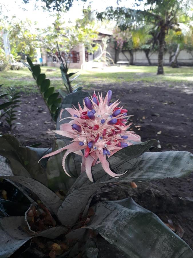 Refugio Das Bouganvillea Igarassu Dış mekan fotoğraf
