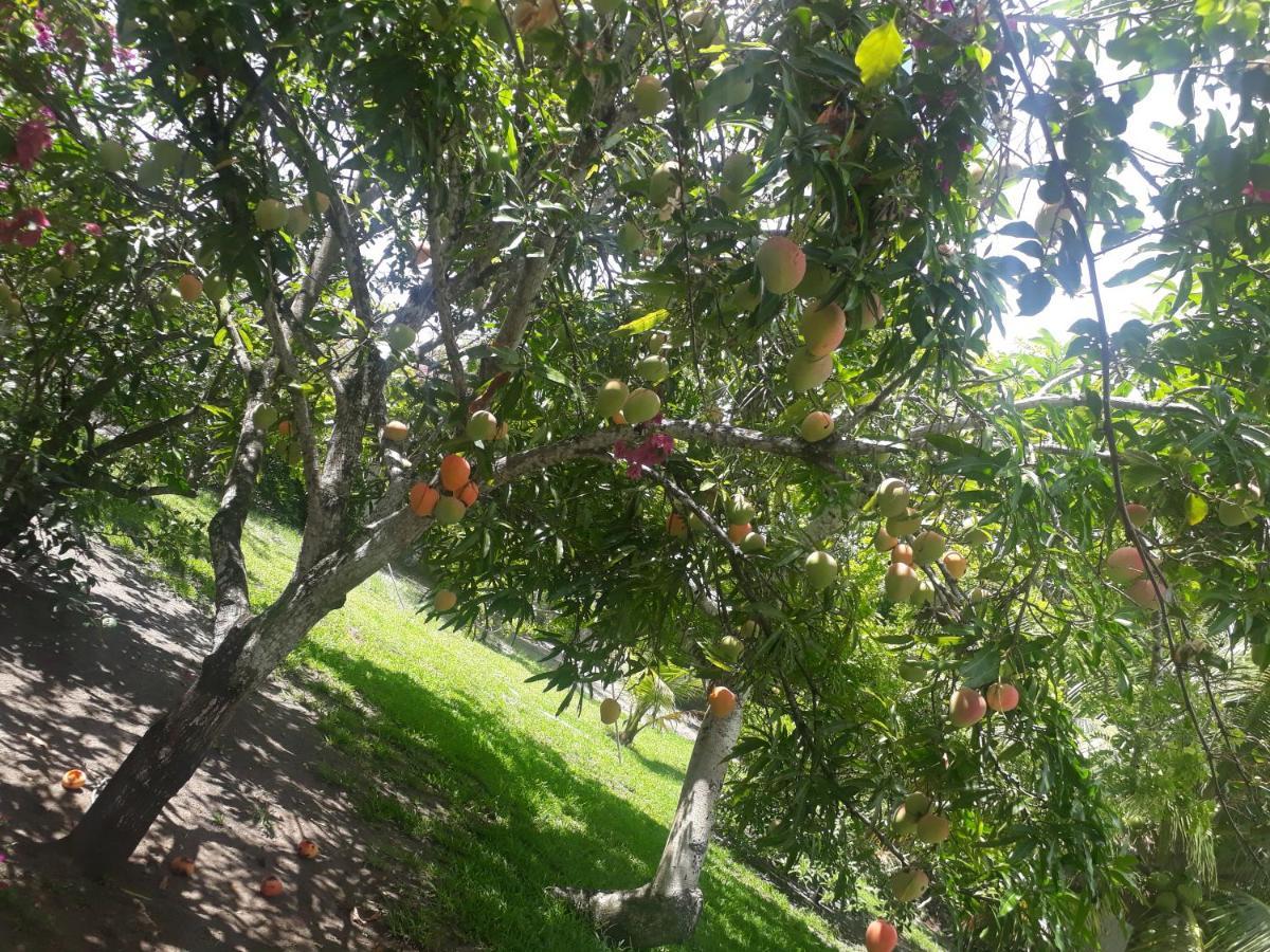 Refugio Das Bouganvillea Igarassu Dış mekan fotoğraf
